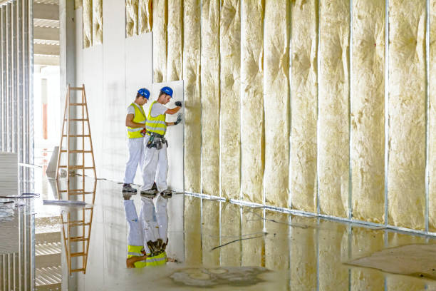 Best DIY Insulation Kits and Guidance in Wona Lake, IN